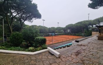 Tennis venue